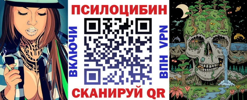 Купить закладки Болотное Галлюциногенные грибы Psilocybe